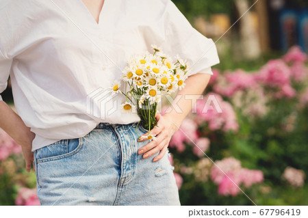 Background flowers. Chamomiles 67796419