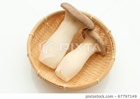 king oyster mushroom 67797149