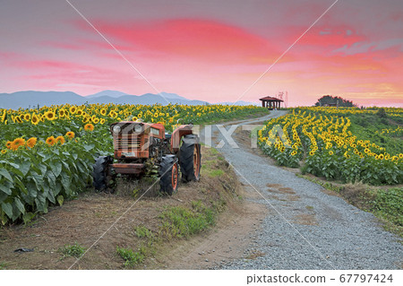 Gangnam gangan gangju village scenery 67797424