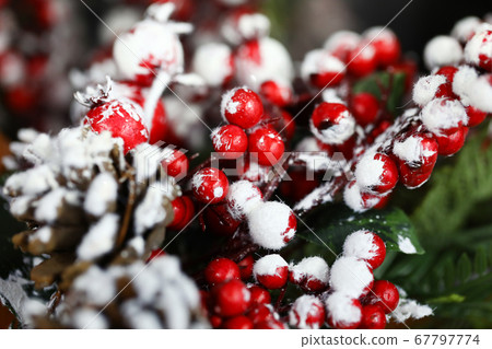 Cones, fir tree and rowan twig in snow for home decoration. 67797774