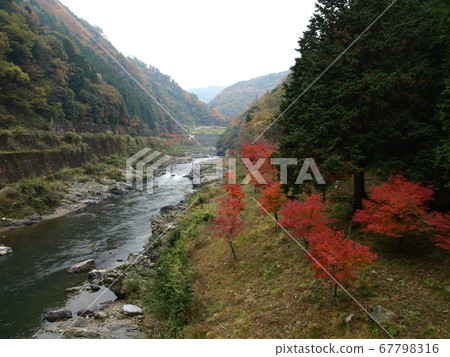嵐山 嵐山 67798316