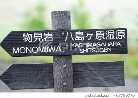 Let's go, Kirigamine 67799770