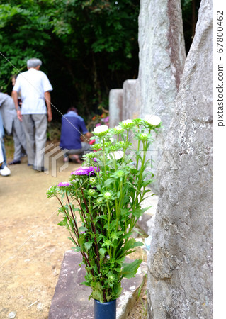 Scenery of visiting a grave in Obon Scenery of visiting a grave in Obon 67800462