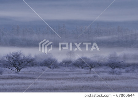 秋葉的Odashirogahara(霜) 秋葉的Odashirogahara(霜) 67800644