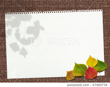 A knitted basket-like background with a row of colorful Nankin goby leaves and a sketchbook. A knitted basket-like background with a row of colorful Nankin goby leaves and a sketchbook. 67800736