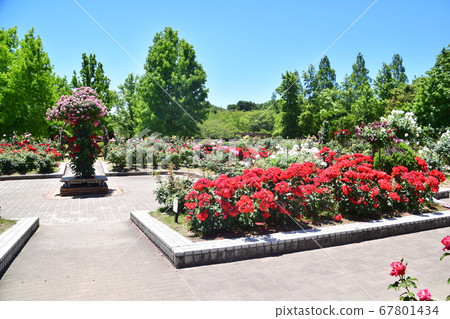 Sho Sakai Park Sho Sakai Park 67801434