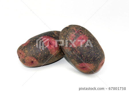 馬鈴薯（毀滅者） 67801738