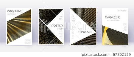 Triangle brochure design template set. Gold abstra 67802139