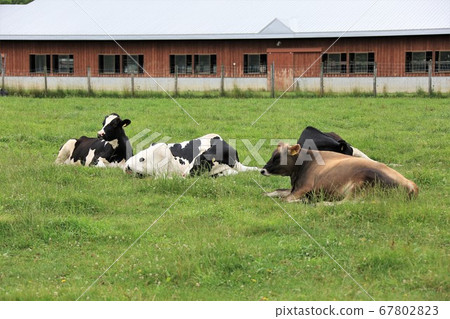 A landscape of a ranch 67802823