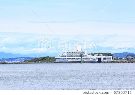 Summer at Iwada Owada Bay in Miura Peninsula, Shonan (Nagai, Yokosuka City) 67803715