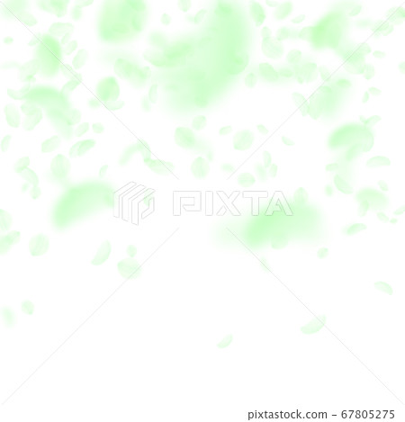 Green flower petals falling down. Vibrant romantic Green flower petals falling down. Vibrant romantic 67805275
