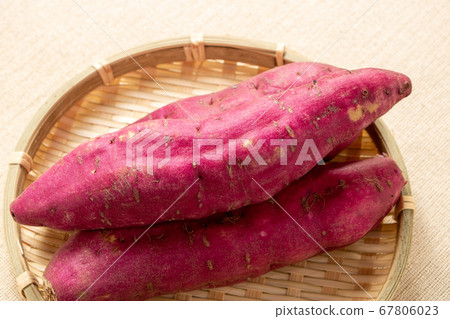 Sweet potato (Naruto Kintoki from Tokushima prefecture). Sweet potato (Naruto Kintoki from Tokushima prefecture). 67806023