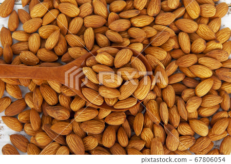 almond 67806054
