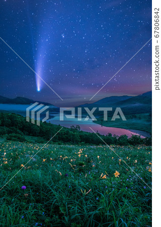 新智彗星和野日紀 67806842