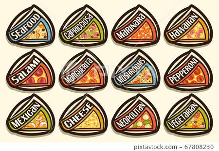 Vector Pizza Set 67808230