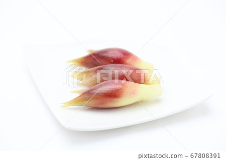 日本生薑 日本生薑 67808391