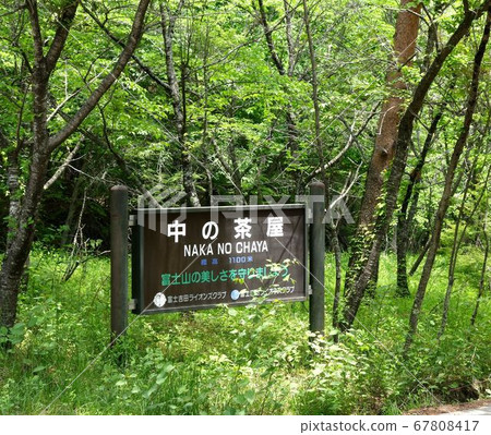 Mt. Fuji walk along the Yoshidaguchi trail Mt. Fuji walk along the Yoshidaguchi trail 67808417