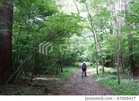 Mt. Fuji walk along the Yoshidaguchi trail 67808427