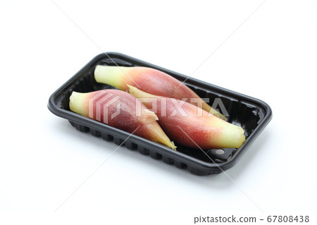 日本生薑 日本生薑 67808438