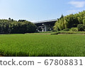 Expressway seen from rice field road in the countryside 67808831
