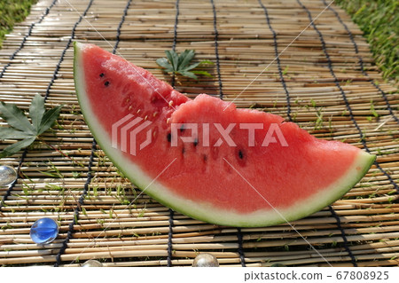 Watermelon Watermelon Watermelon Watermelon 67808925