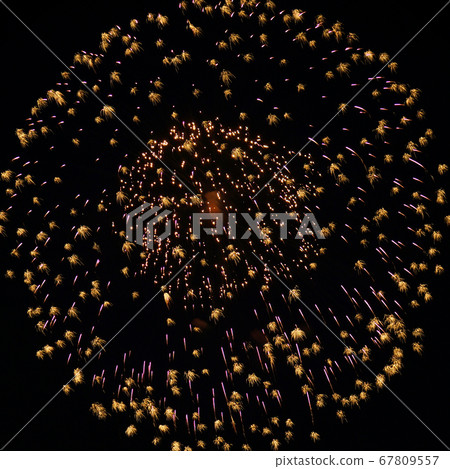 Large-flowered fireworks glitter Large-flowered fireworks glitter 67809557