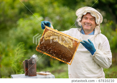 Beekeeper at apiary Beekeeper at apiary 67810210