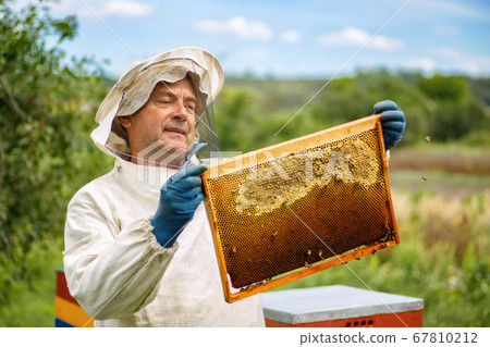 Beekeeper at apiary Beekeeper at apiary 67810212