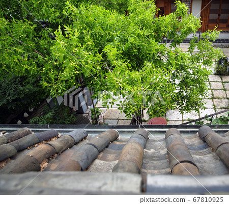 高角度觀賞場 67810925