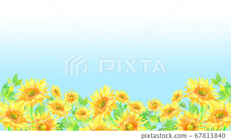 Illustration of a sunflower field drawn in watercolor Illustration of a sunflower field drawn in watercolor 67813840