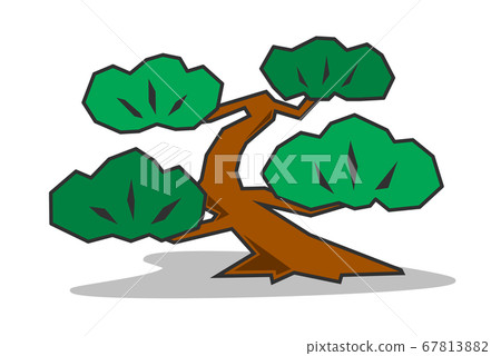 Pine tree illustration Pine tree illustration 67813882