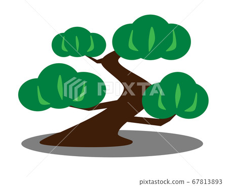 Pine tree illustration 67813893