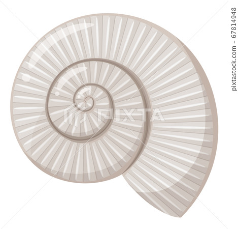 Ammonite fossil illustration 67814948
