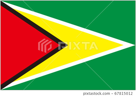 Flag of Guyana 67815012