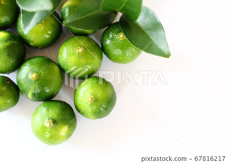 White background image White background image 67816217