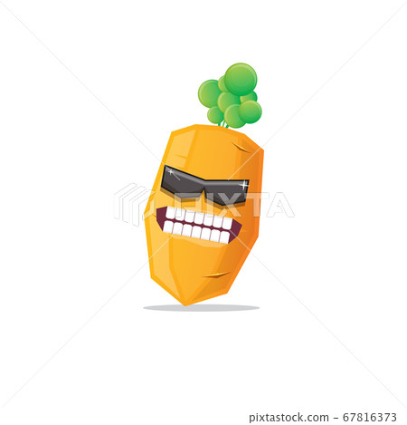 vector funny cartoon carrot character with sunglasses isolated on white background. funky smiling summer vegetable character vector funny cartoon carrot character with sunglasses isolated on white background. funky smiling summer vegetable character 67816373