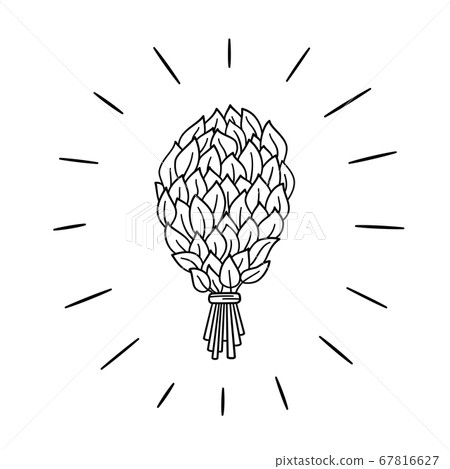 Hand drawn birch broom for bath and sauna. Vector illustration in doodle style Hand drawn birch broom for bath and sauna. Vector illustration in doodle style 67816627