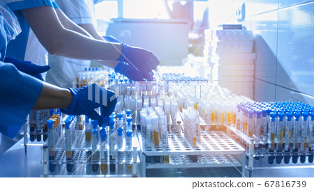 Hands in rubber gloves hold test tubes. Hands in rubber gloves hold test tubes. 67816739