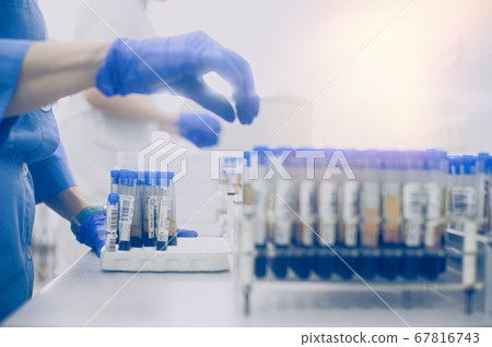 Hands in rubber gloves hold test tubes. Hands in rubber gloves hold test tubes. 67816743