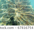 Concrete block under water. Reflection of sun rays under water on a stone. 67816754