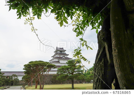 Fukushima Prefecture Aizu Tsurugajo Castle Tower (fresh greenery. Maeda leaf) 67816865