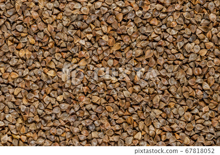 Common buckwheat seeds with husks, close-up. Gluten-free pseudocereal with grain-like seeds, used as a cover crop. Fagopyrum esculentum. Food photo closeup, top view, from above. Background. 67818052