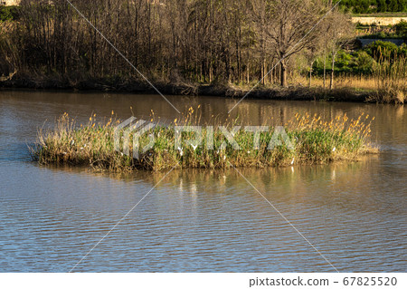 The Ojos reservoir, also called Azud de Ojos in 67825520