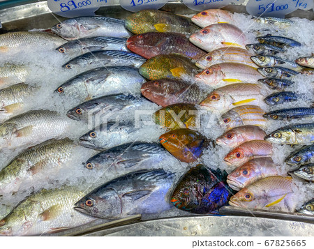 Assorted fish good arrangement frozen on ice at seafood market 67825665