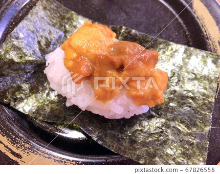 Sea urchin sushi Sea urchin sushi 67826558