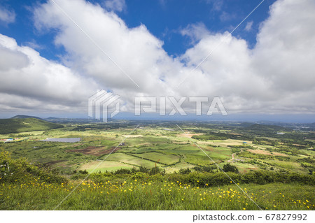 Follow Jeju Follow Jeju 67827992