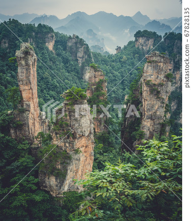 Landscape of Stone Tianzi Mountain pillars in Landscape of Stone Tianzi Mountain pillars in 67828135