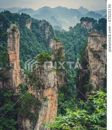 Landscape of Stone Tianzi Mountain pillars in 67828136
