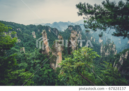 Landscape of Stone Tianzi Mountain pillars in 67828137