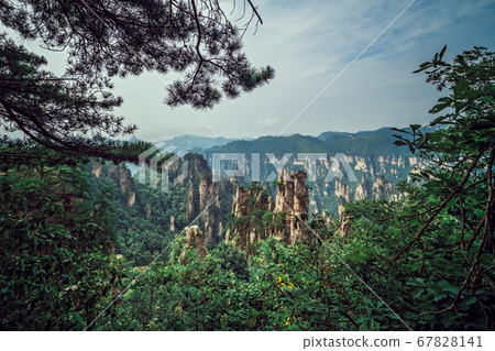 Landscape of Stone Tianzi Mountain pillars in 67828141